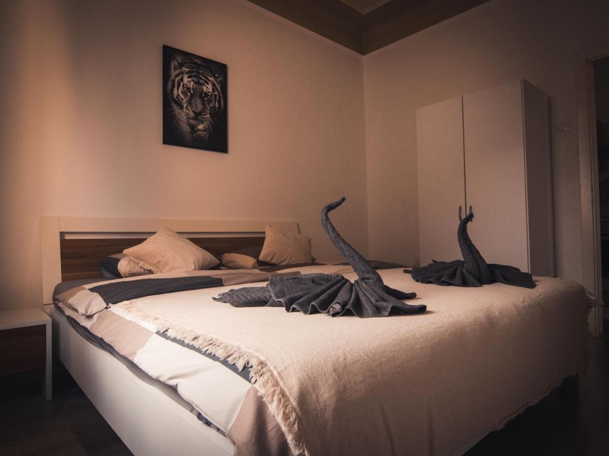 Apartment Stari Tiger