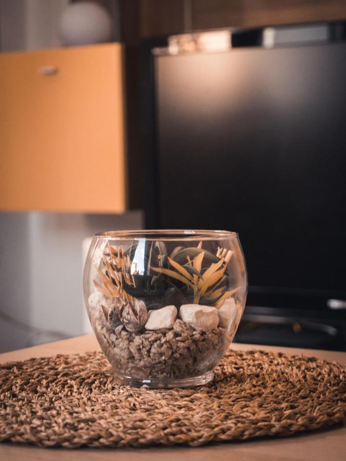 Apartment Stari Tiger