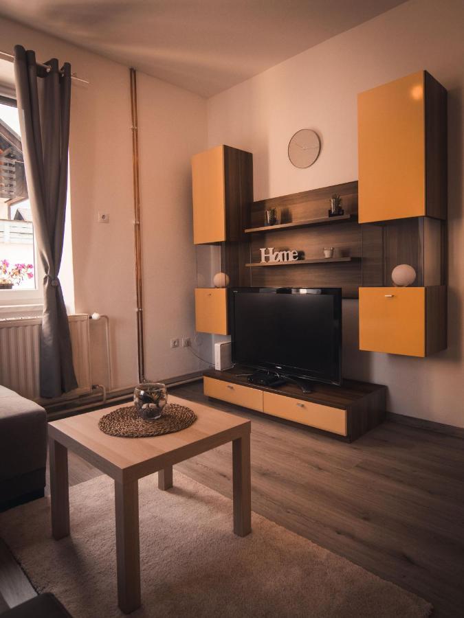 Stari Tiger Apartment