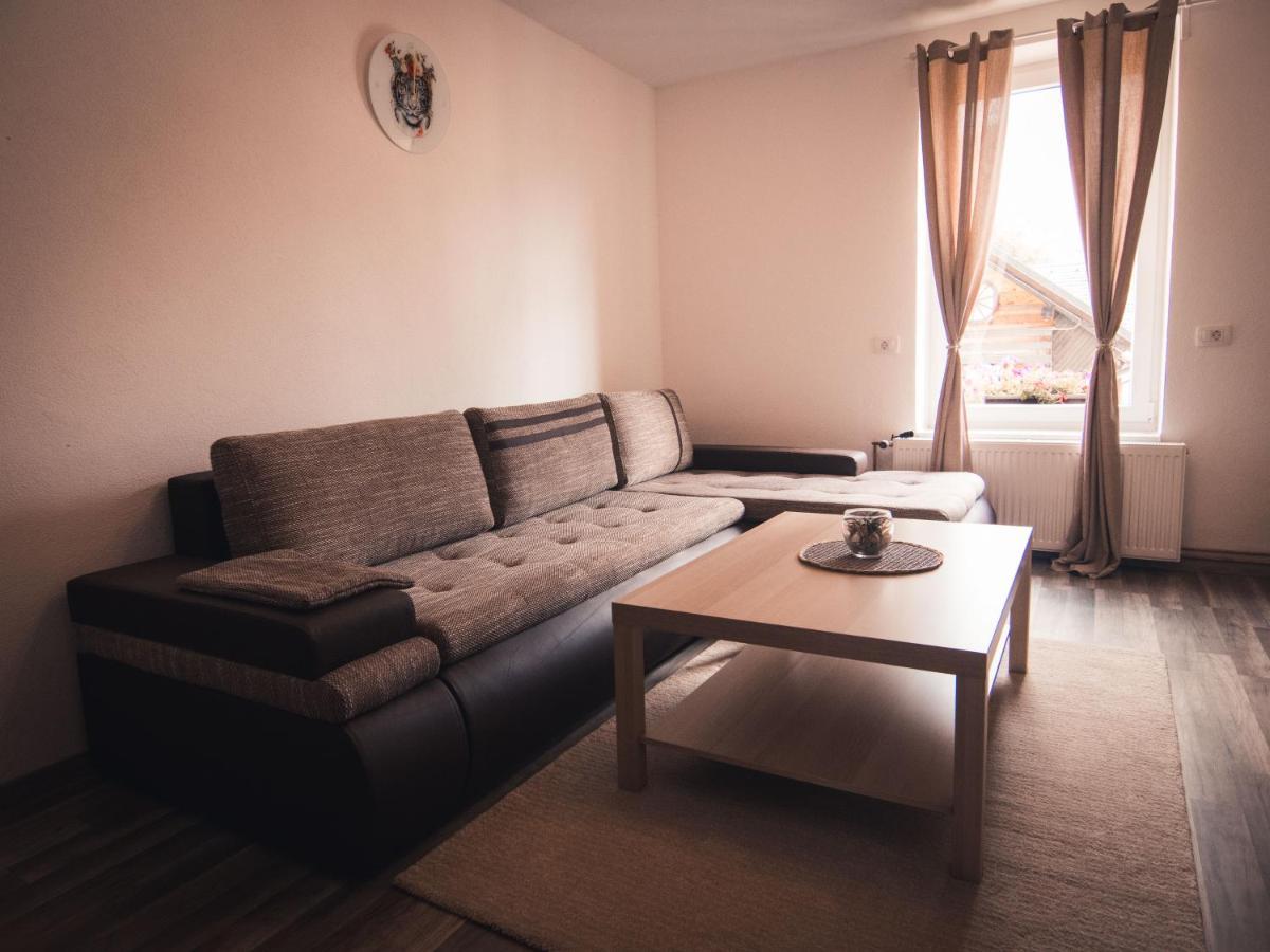 Apartment Stari Tiger *